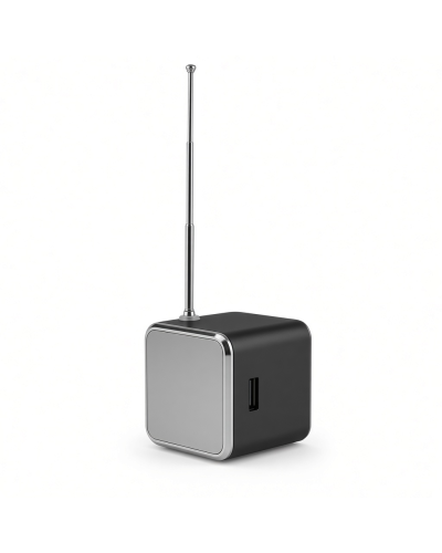 Portable MP3 Radio